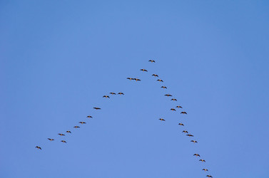 Similar image 21808640