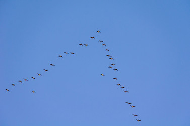 Similar image 21808641