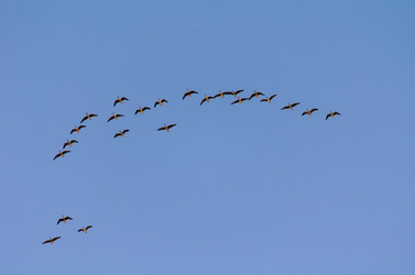 Similar image 21808643