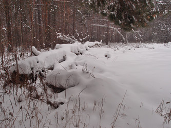 Similar image 21808668