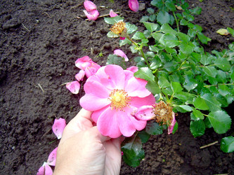 Similar image 21808720