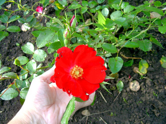 Similar image 21808721