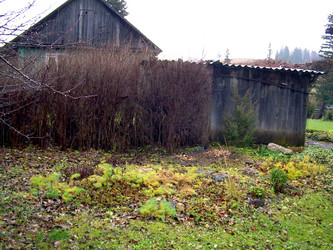 Similar image 21808726