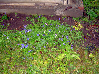 Similar image 21808727