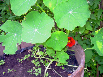 Similar image 21808728