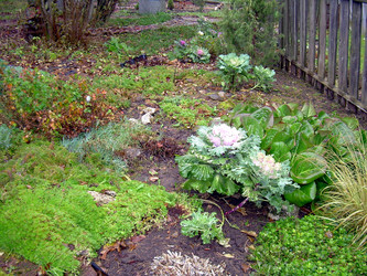 Similar image 21808729