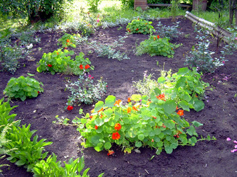 Similar image 21808730