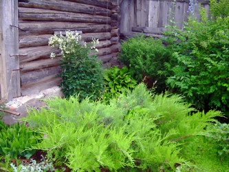 Similar image 21808735