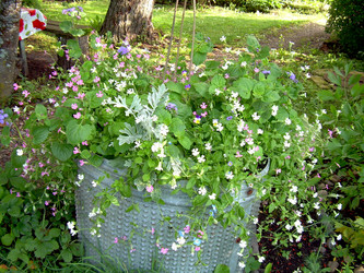 Similar image 21808736