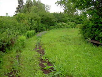 Similar image 21808739