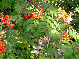 Similar image 21808742