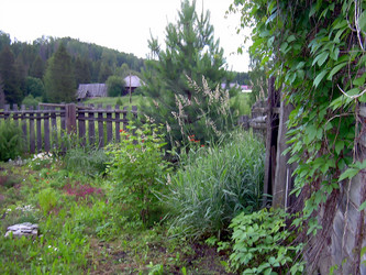 Similar image 21808743