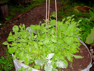 Similar image 21808747