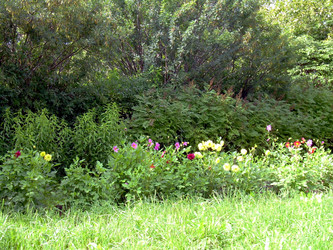 Similar image 21808750