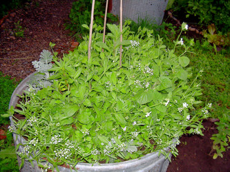 Similar image 21808751