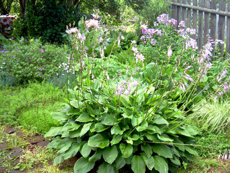 Similar image 21808893