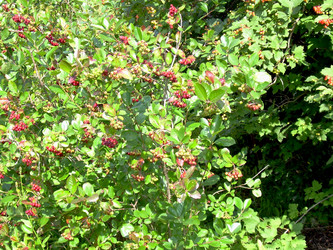 Similar image 21808895