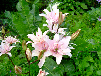 Similar image 21808901