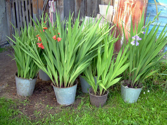 Similar image 21808903