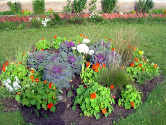 Similar image 21808904