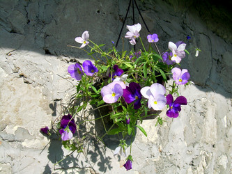 Similar image 21808905