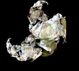 Similar image 21809971