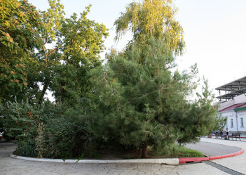 Similar image 21808790