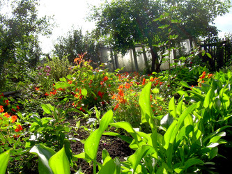 Similar image 21808795