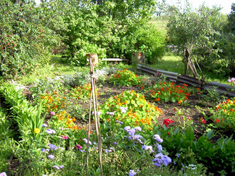 Similar image 21808796