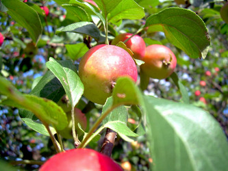 Similar image 21808797