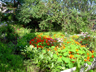 Similar image 21808798