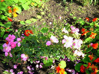 Similar image 21808799