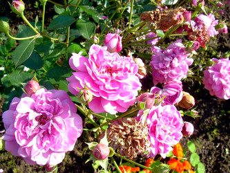 Similar image 21808800