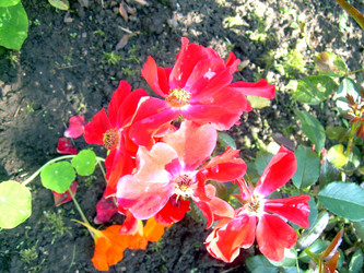 Similar image 21808801