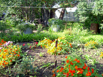 Similar image 21808802