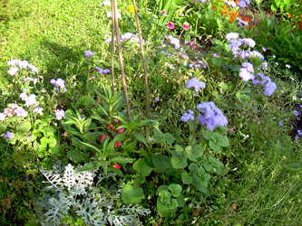 Similar image 21808803