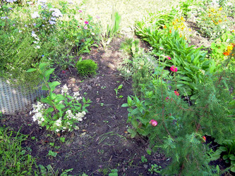 Similar image 21808806