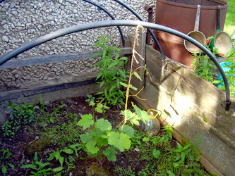 Similar image 21808814