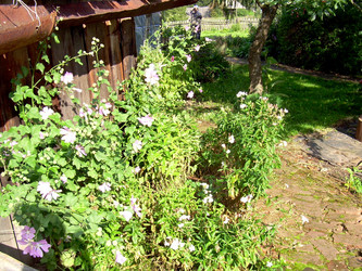 Similar image 21808815