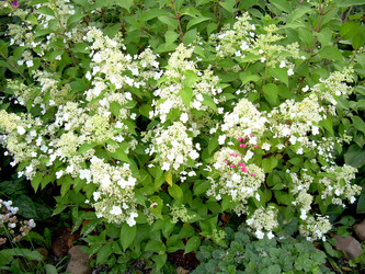 Similar image 21808816