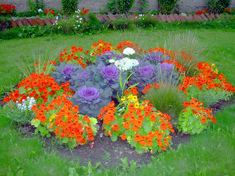 Similar image 21808819