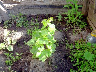 Similar image 21808823