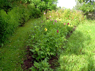 Similar image 21808826