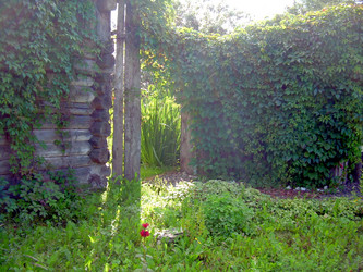 Similar image 21808827