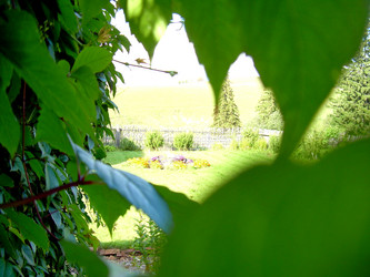 Similar image 21808828