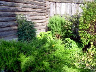 Similar image 21808832