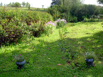 Similar image 21808834