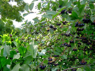 Similar image 21808838