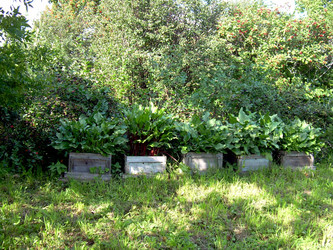 Similar image 21808839