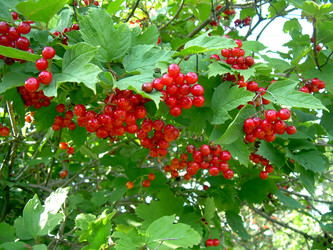 Similar image 21808840